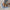 WW | Lafer Atmungsaktiv Slip On Wanderschuhe Frauen Schuhe