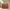 WW | Handtasche Echtes Leder Strukturiertes Design Abnehmbarer Schulterriemen Elegantes Aussehen