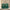 WW | Handtasche Echtes Leder Strukturiertes Design Abnehmbarer Schulterriemen Elegantes Aussehen