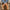 W&W - Stylische Stiefeletten