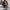 WW | Stylische Lederjacke