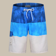 WW | Herren Boardshorts