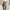 WW | Warme Winter Strumpfhose