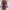 Aviana™ - Schickes Bodycon Minikleid
