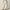 WW | Damen Jeans Casual Schnitt