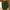 WW | Leinenhemd Herren Weinlese