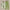 WW | 2 Teiliges Damen Sommer Set