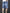 WW | Cargo Denim Shorts Für Herren