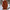 WW | Warmer Und Langer Woll|Trenchcoat