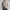 WW | lockere Passform Pullover Strickpullover Damen Strickwaren