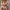 WW-in-1-Bikini-Set mit Blumenmuster (Bestseller)