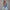 WW | Leichte Denim Hemden