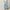 WW | Hohe Taille Vintage-Jeans für Damen
