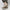 WW | Wildleder Herren Schuhe