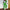 WW | Damen-Set aus Hemd und Hose, elegant und modisch