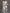 WW | Plus Size Herbst Neu Damen Blumenmuster Lang Kleid Bedrucktes Muster Zwei Teiliges Kleid Rundhals Temperament Elegant Kleid