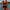 WW | Bikini Set Hochtaillierte Hose V-Ausschnitt Wickel-Oberteil Verstellbar & Unterstützende Passform