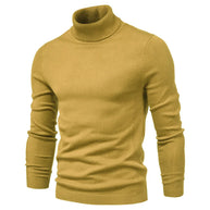 WW | Herren Rollkragenpullover aus hochwertigem Material