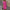 WW | Stilvolles Sommerkleid