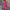WW | Elegantes Sommerkleid mit V-Ausschnitt