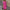 WW | Elegantes Sommerkleid mit V-Ausschnitt