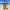 Bikini-Set mit Blumenmuster