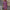 WW | Bewegliches Midi Hemdkleid