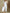 WW - Eleganter Workwear-Jumpsuit