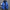 WW - Herren-Winterjacke - Warme, schlanke Daunenjacke mit Kapuze