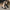 WW | Zeitlose Damen-Pumps - 2024 Fashion