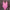 WW in Roségold TEAM Bride