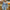 WW Die Vintage Jeansjacke unter Ihrem Mantel