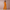 WW | Vielseitiger Lang-Jumpsuit Für Jeden Anlass