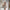 WW | Steh einfach da und starre Minikleid