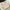 WW | In deinem Herzen eingeschlossene Lingerie