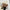 WW | Leder Satteltaschen