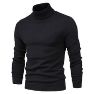 WW | Herren Rollkragenpullover aus hochwertigem Material