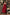WW | Elegantes Cocktailkleid