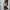 WW | Drapierte Ein-Schulter-Bluse