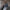 WW – Kurze Jacke