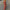 WW | Vibrant Gestreiftes Maxikleid mit Taillenbetonung