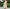 Elegantes Sommerkleid