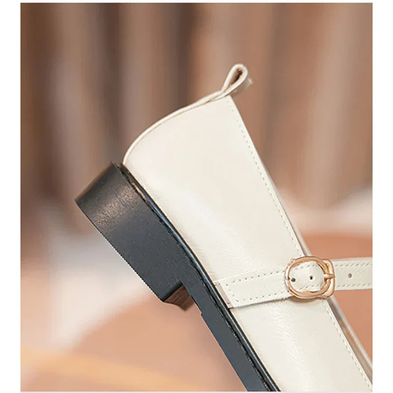 WW | Frühling und Herbst Damen Leder Schuhe Frauen Lässige Schuhe Mode Flache Loafers Britischer Stil Büro und Bankett