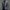 WW | Herren Winterjacke