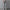 WW | Stilvolle High-Waist-Hose mit Falten