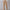 WW | Stilvolle High-Waist-Hose mit Falten