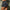 WW | Denim Skort Denim Minirock