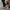 WW | Stilvolle Leder Loafers Für Herren Zeitloser Charme