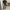 WW Leopard-Print-Jeans | Stylische schmale Streetwear Damenhose im Pencil-Stil
