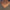 WW | Perlen Choker Herz Halskette Für Frauen